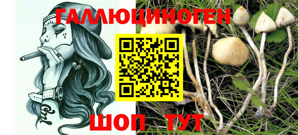 Псилоцибиновые грибы MAGIC MUSHROOMS  Вход с VPN  Барабинск 